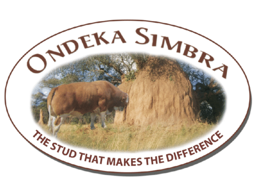 Ondeka Simbra